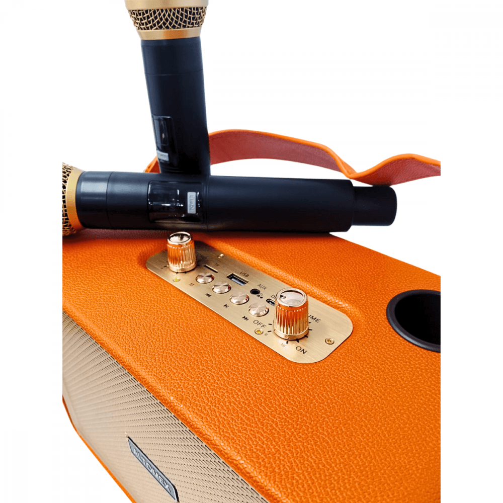 Caixa Som Karaokê sem fio Bluetooth 02 Microfones AM-8510
