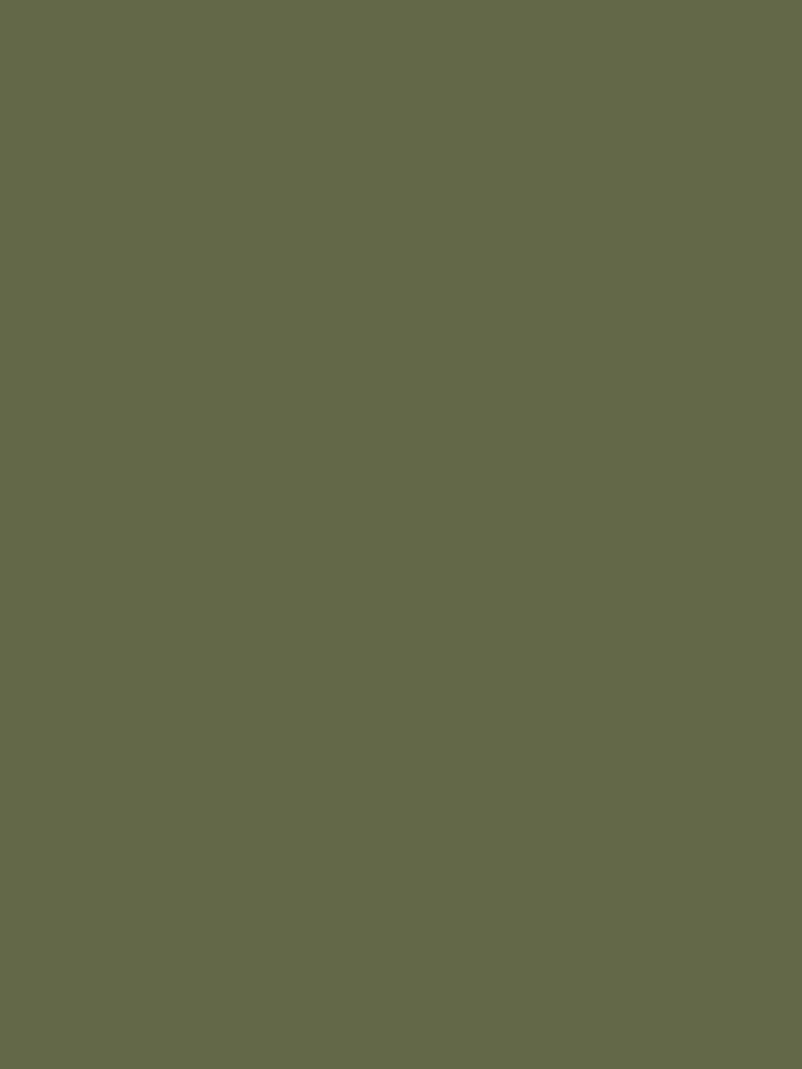 Parka Paly PS — VERDE / G3